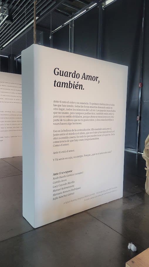 Álbum de Lucy Alejandra Caycedo Murillo, «Chiqui» — El texto de sala de «Guardo Amor, también»