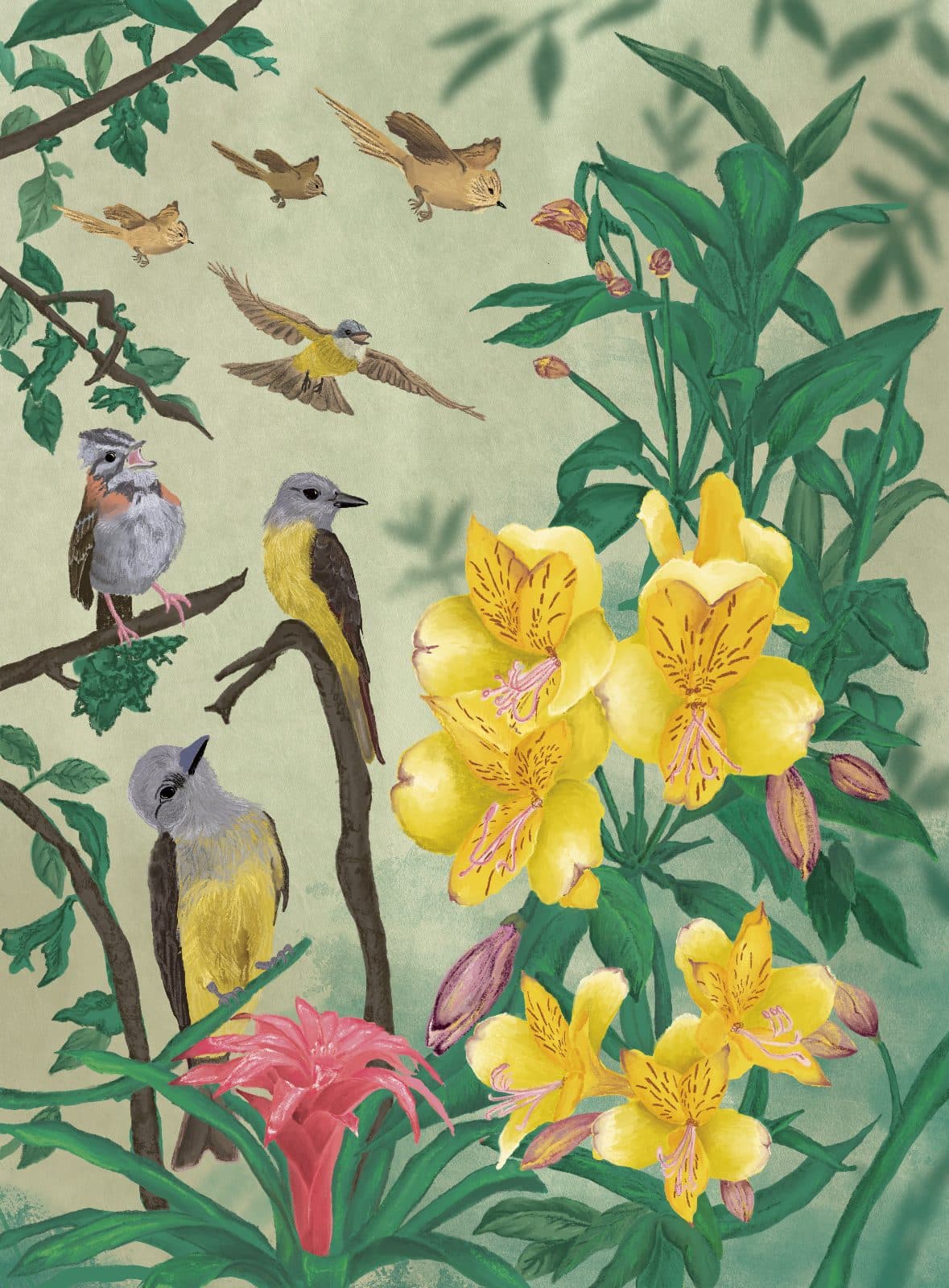 Aves y alstroemerias