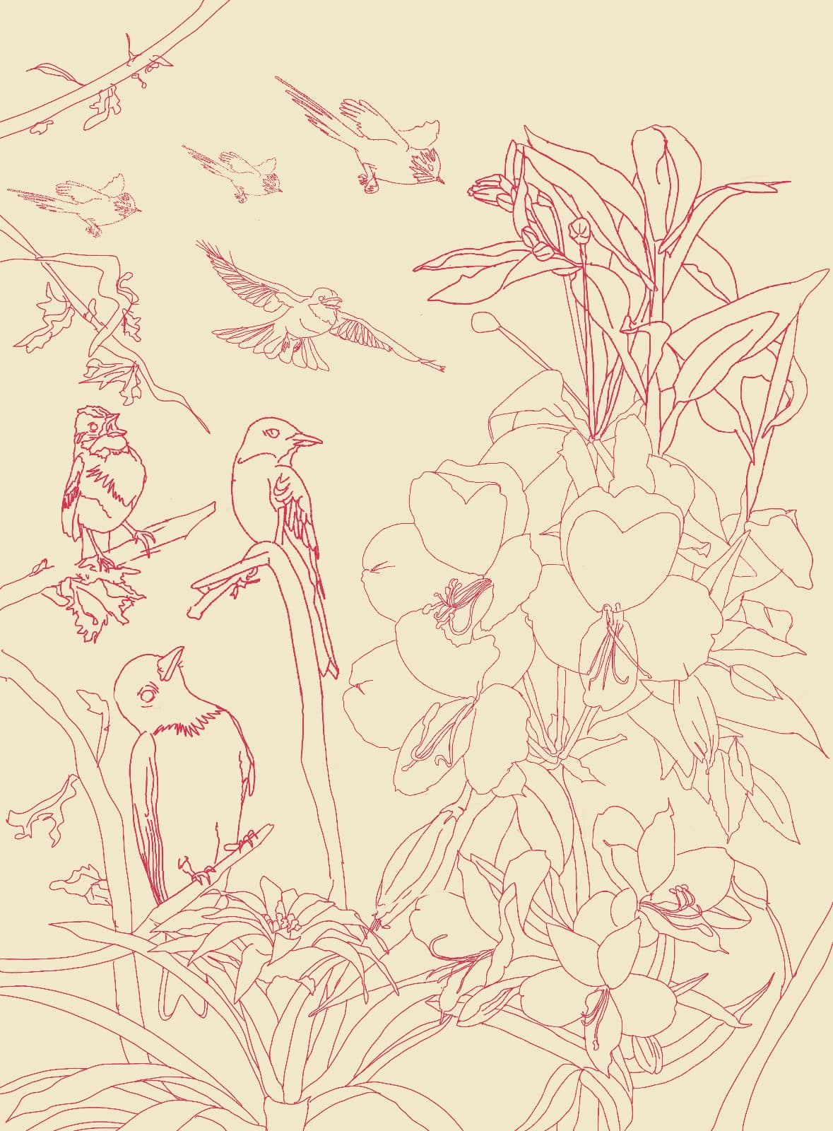 Aves y alstroemerias — El dibujo de línea, antes del color