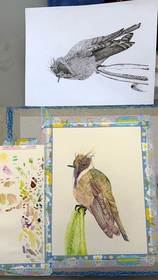 Bitácora — El colibrí dos veces: arriba a rapidógrafo, abajo en acuarela, con las pruebas de color al lado