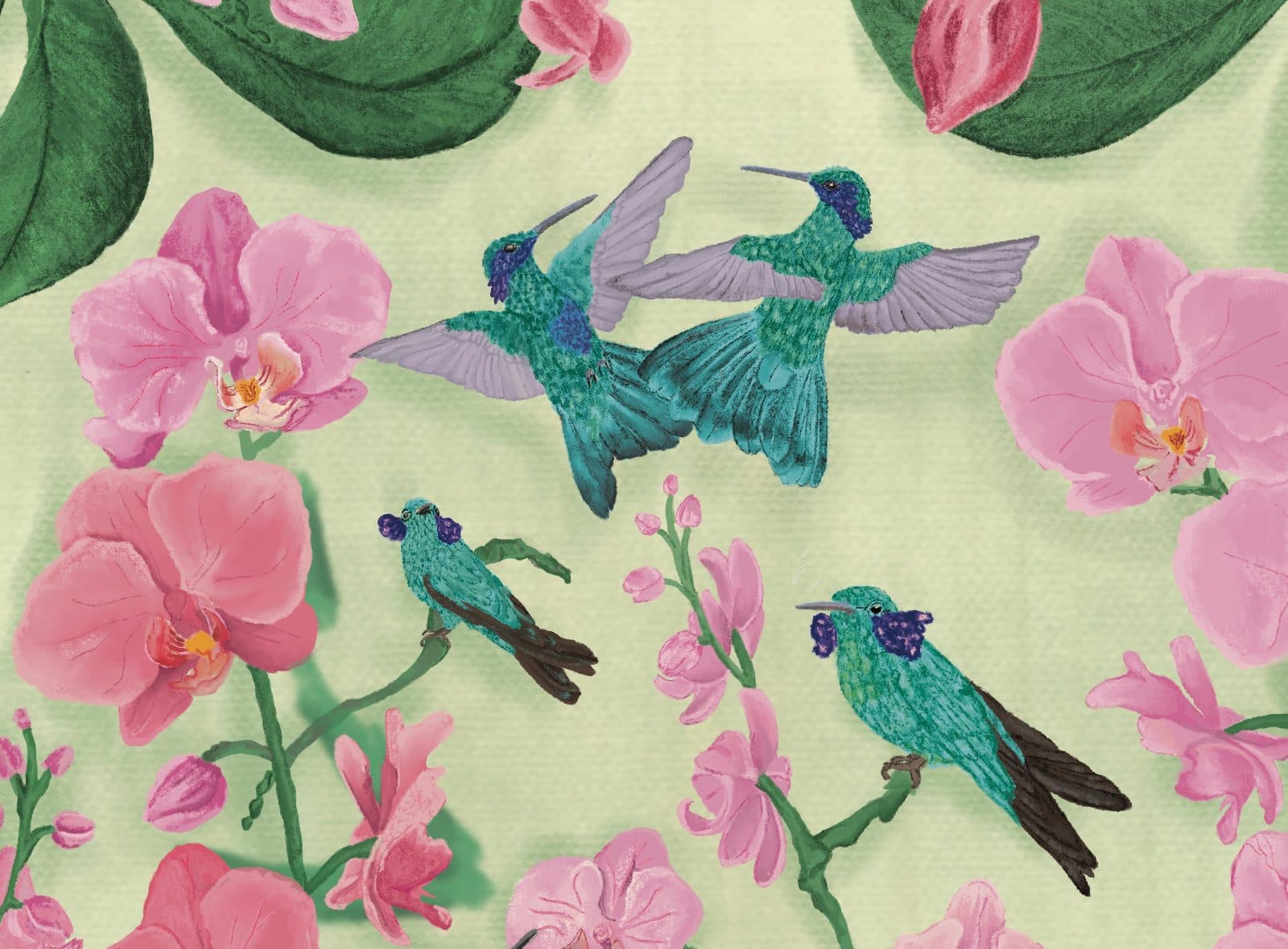 Colibríes y orquídeas — Detalle: los cuatro colibríes