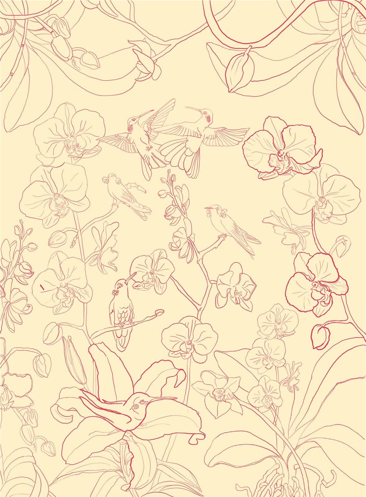 Colibríes y orquídeas — El dibujo de línea, antes del color