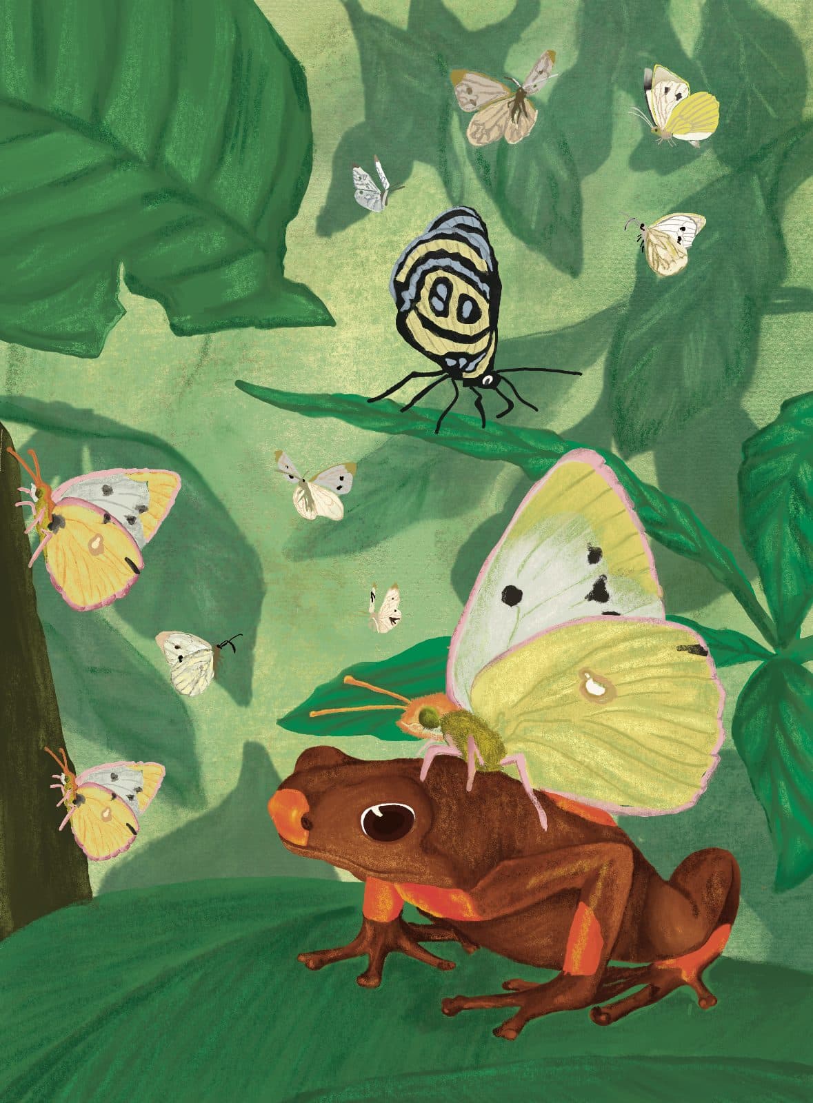Rana y mariposas