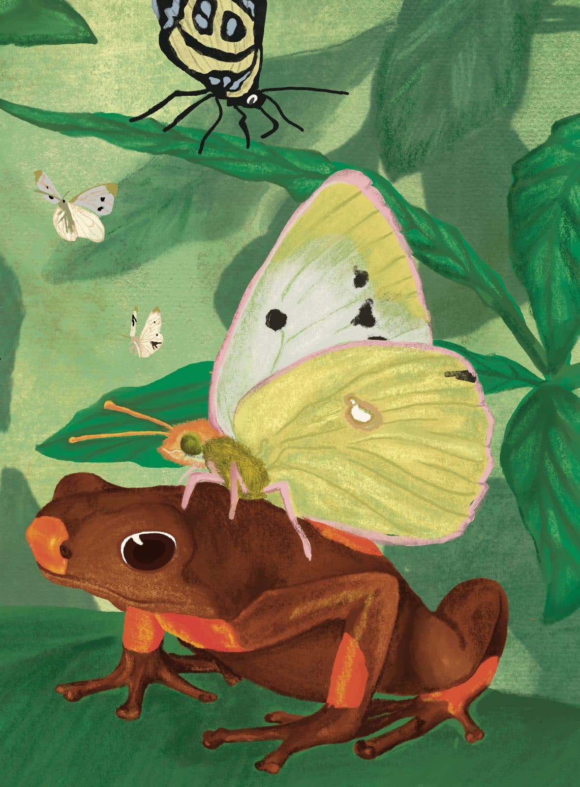 Rana y mariposas — Detalle: el encuentro