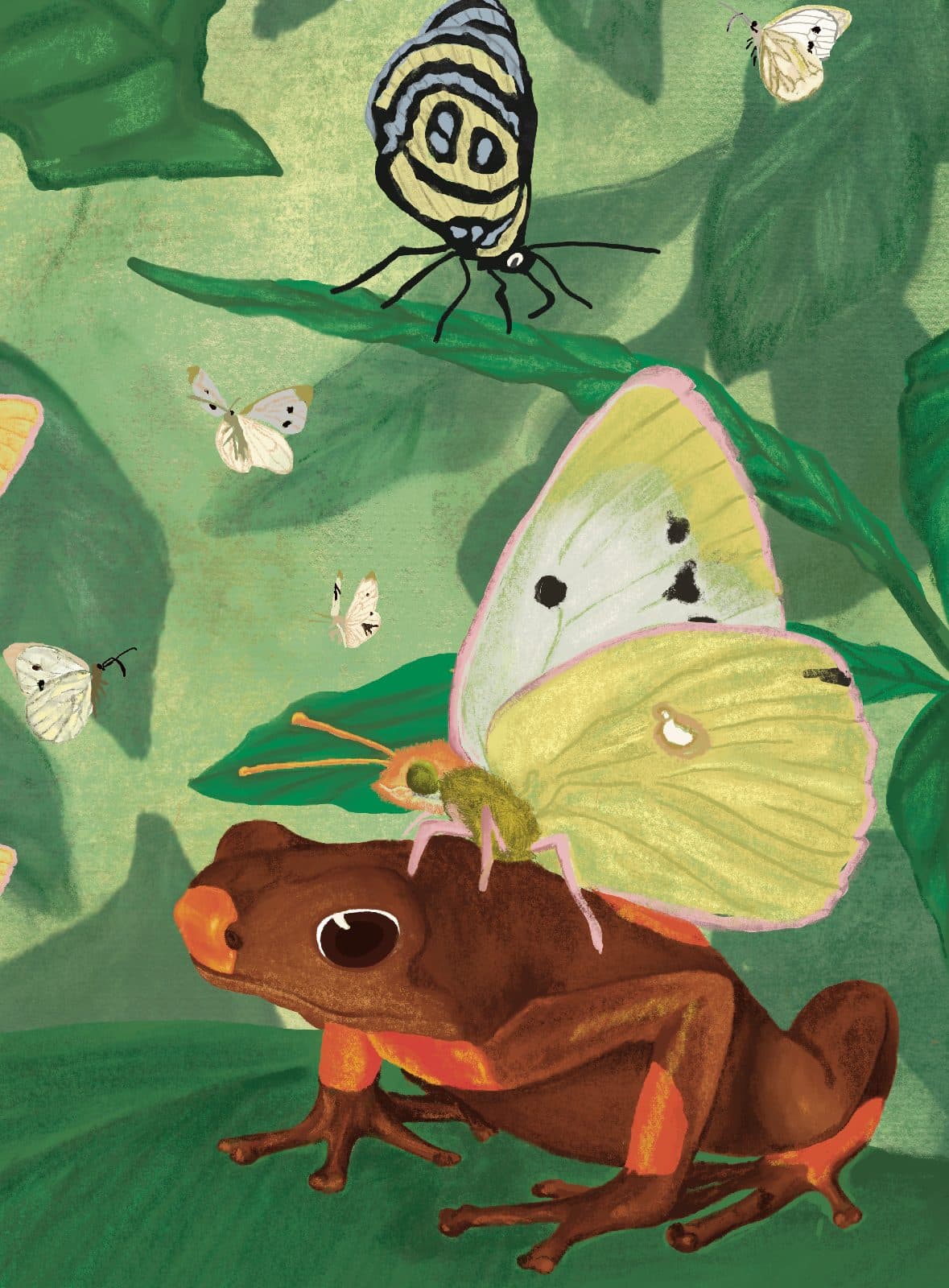 Rana y mariposas — Detalle: la mariposa de los ochos