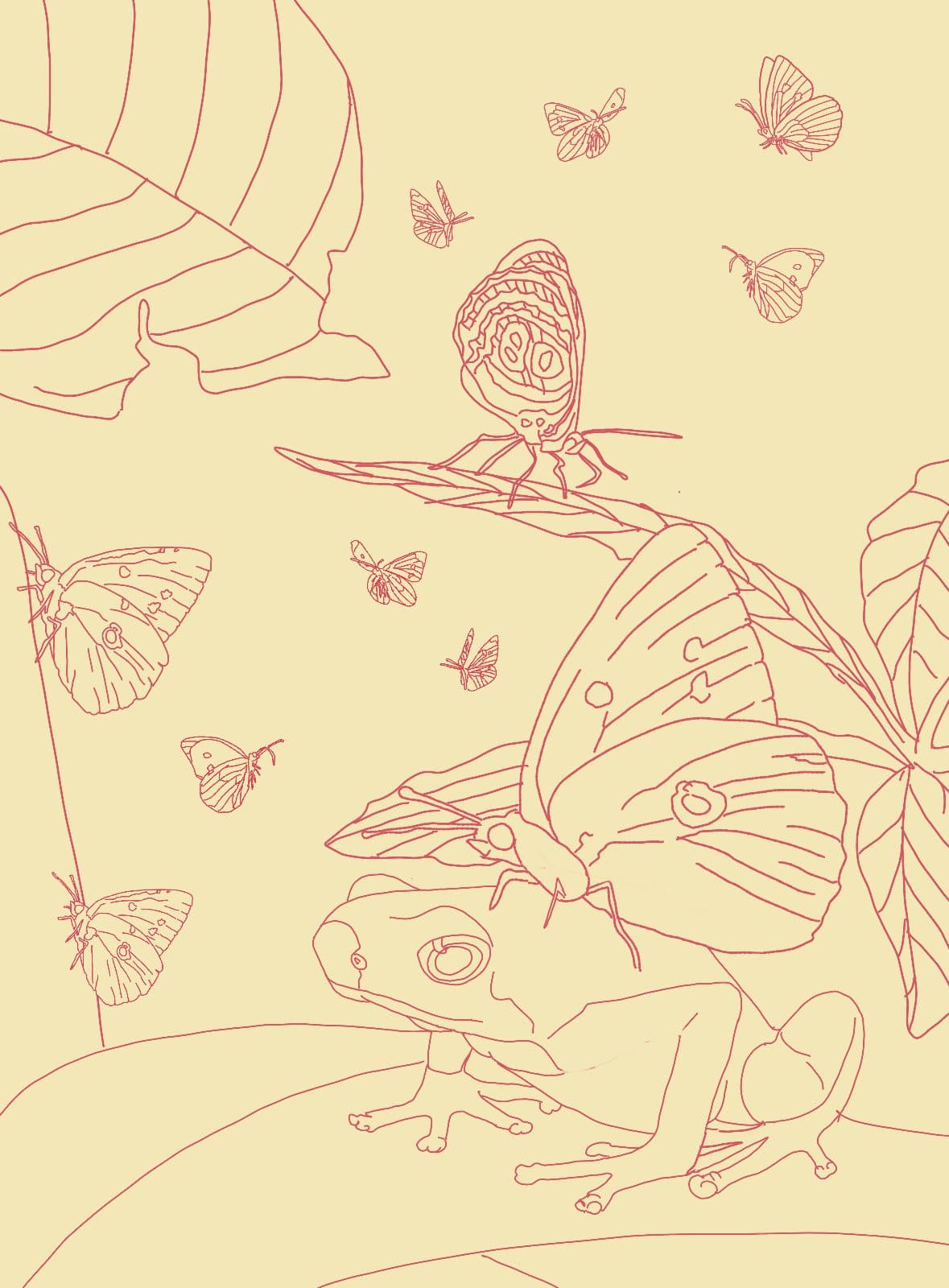 Rana y mariposas — El dibujo de línea, antes del color