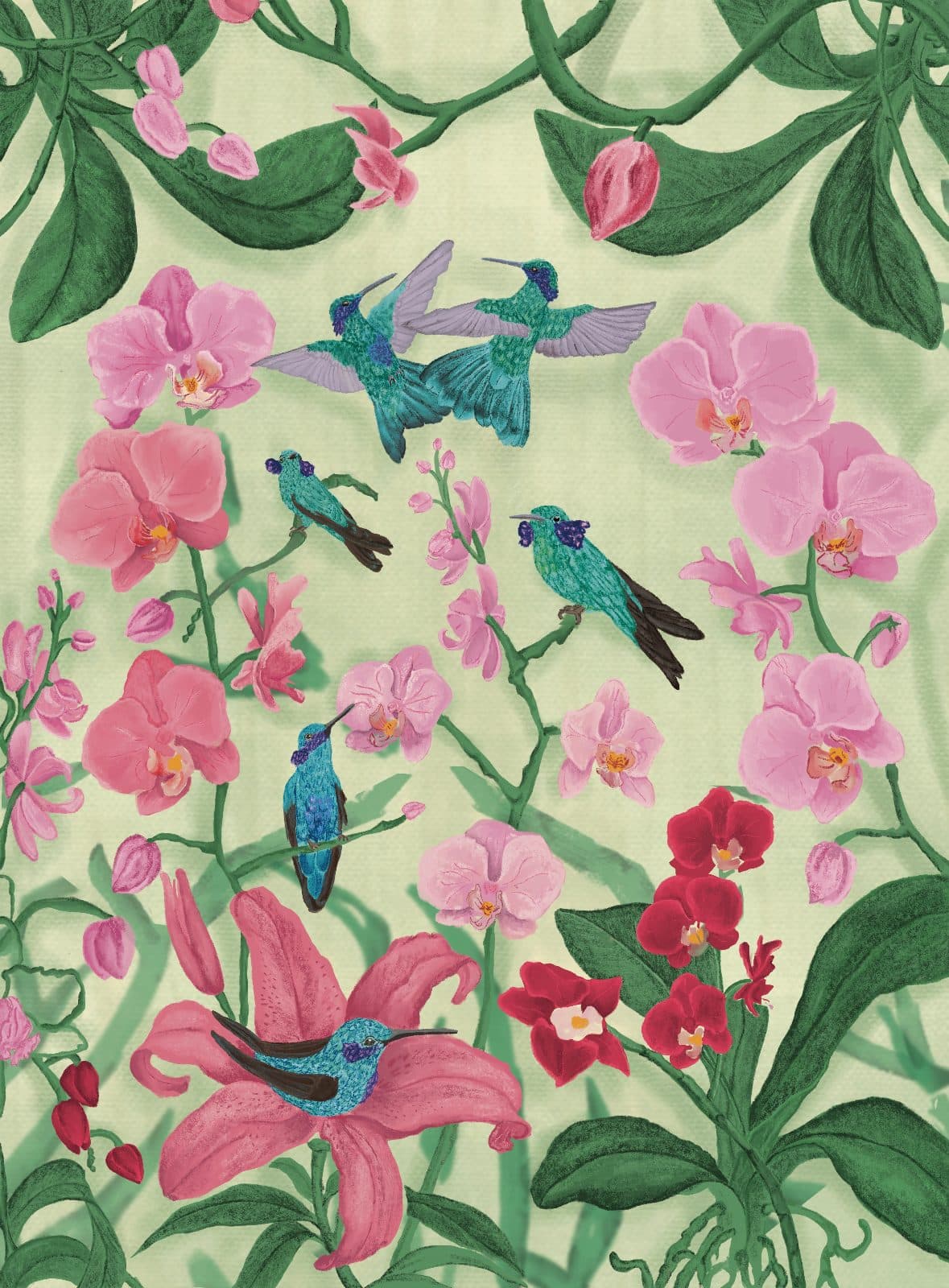 Colibríes y orquídeas